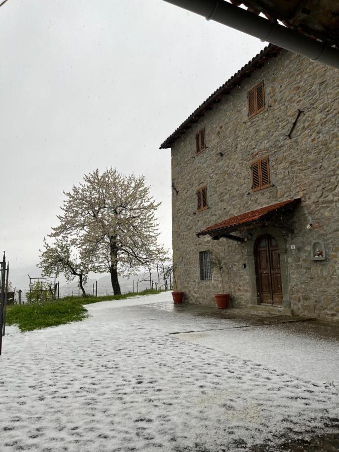 Апартаменти Il Casale Di Rolando Кастільйоне-ді-Гарфаньяна Екстер'єр фото