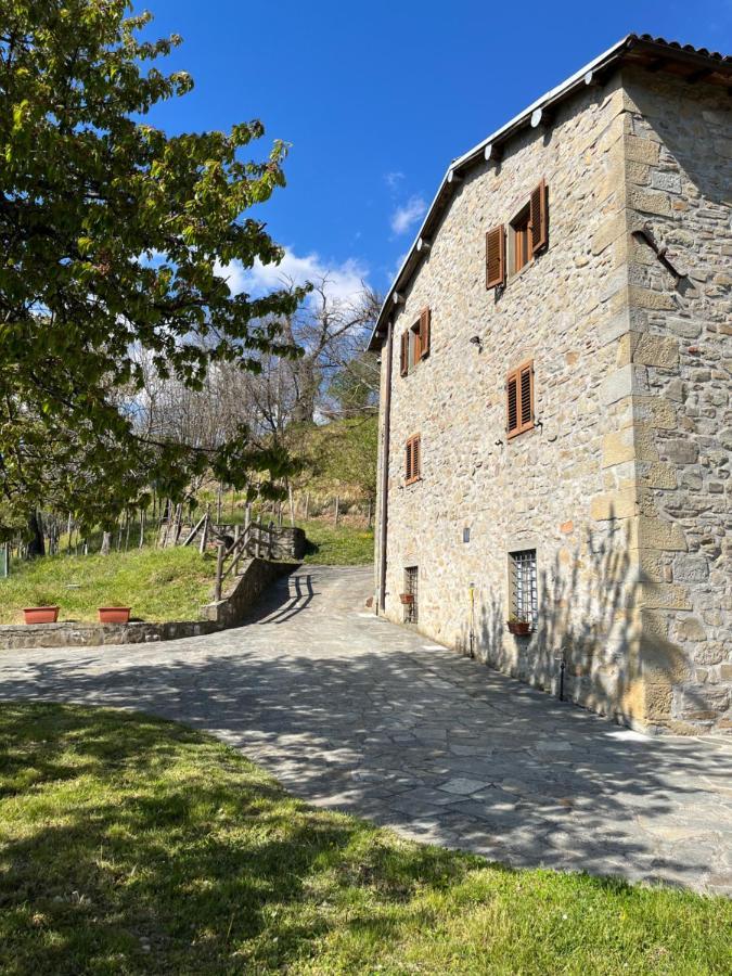 Апартаменти Il Casale Di Rolando Кастільйоне-ді-Гарфаньяна Екстер'єр фото